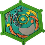 Plant Cell EVA Model
